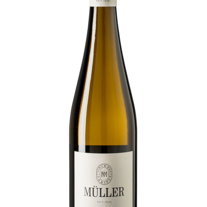 Riesling Hofwerk 2025