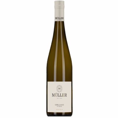 Collage in Weiss 2025